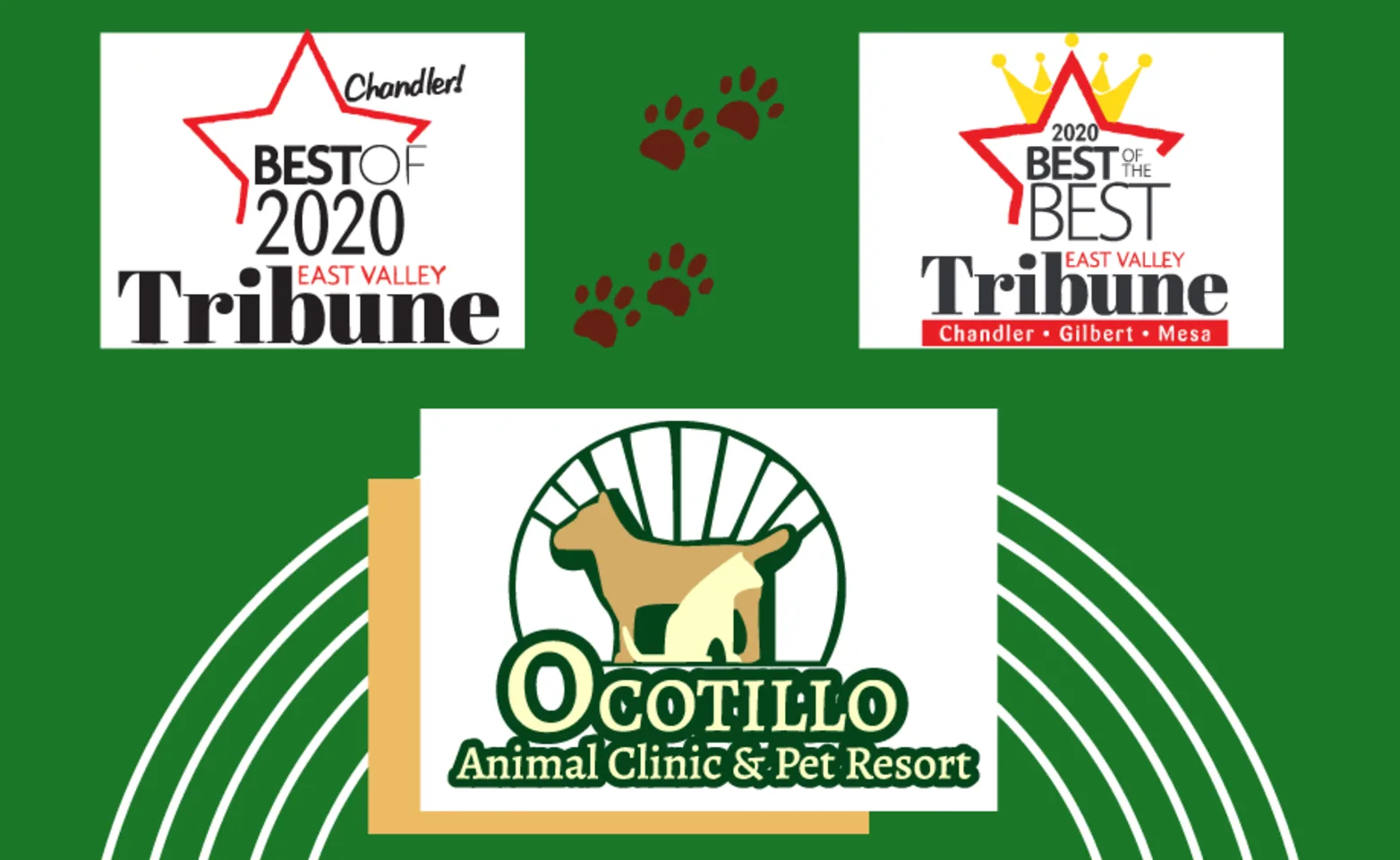 Ocotillo Animal Clinic and Pet Resort, 1014 - Best Veterinary Hospital Banner